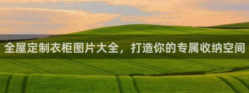 bb电子哪个平台好啊