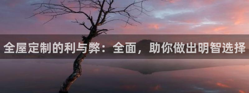 bb电子哪个平台好
