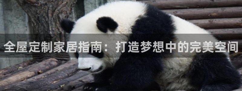 bb电子怎么赢