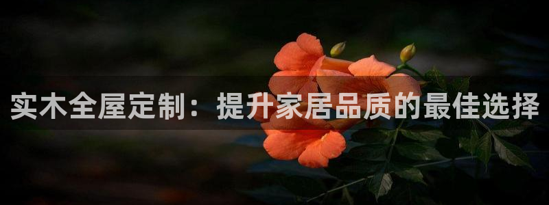 bb电子怎么英语怎么说