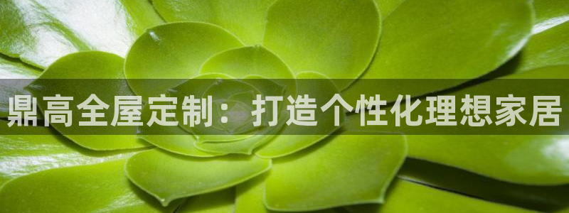 bb电子中了Major怎么算