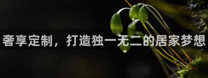 BB电子骗局