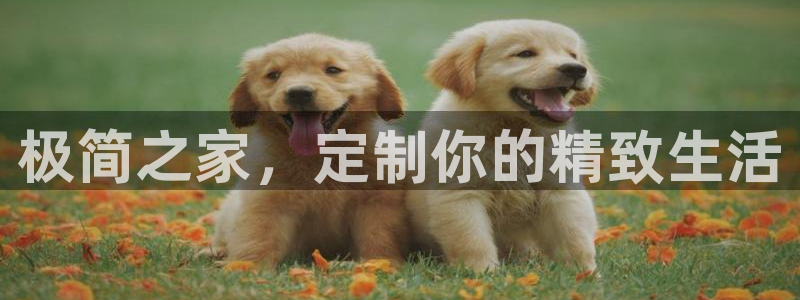 BB电子开户