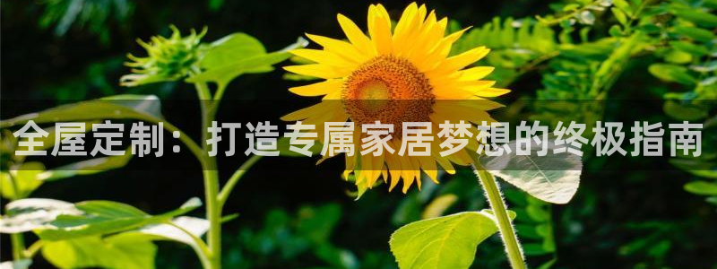 bb电子是怎么控制玩家输赢的