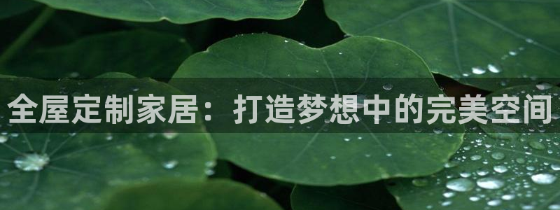 bb电子怎么英语怎么说