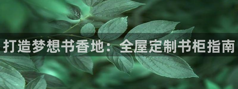 bB电子琴和弦