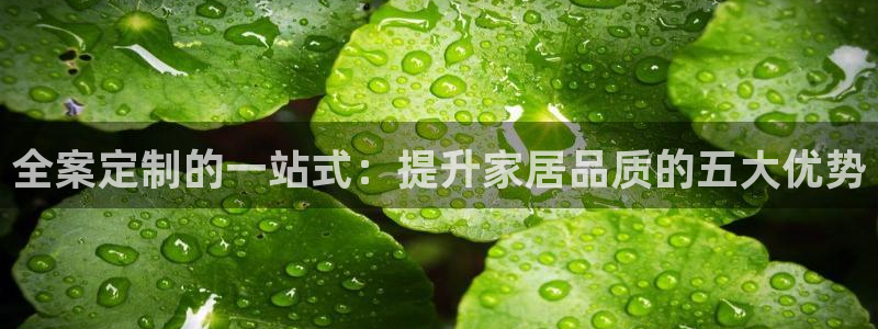 xbb电子游艺