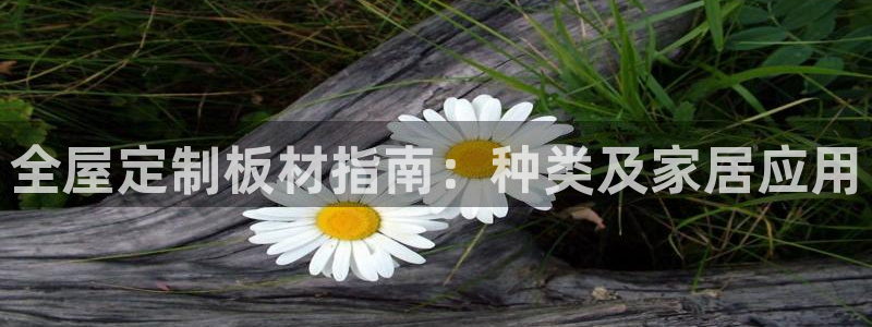 BB电子连环夺宝