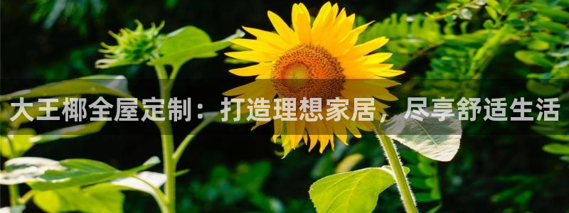 bb电子游戏娱乐平台