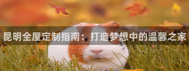 bb电子哪个平台好