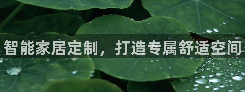 BB电子开户