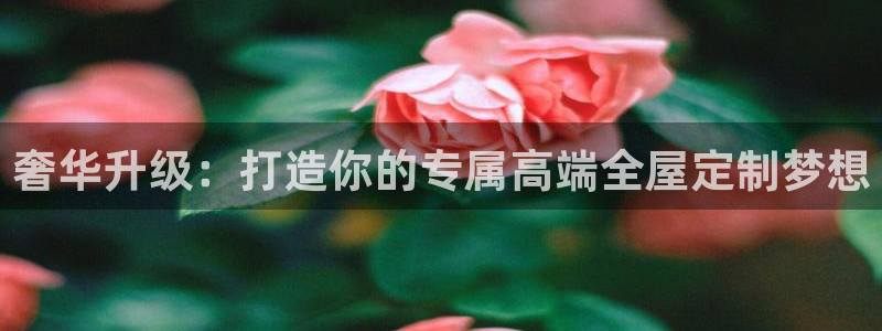 bB电子琴和弦