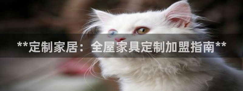 BB电子烟官网