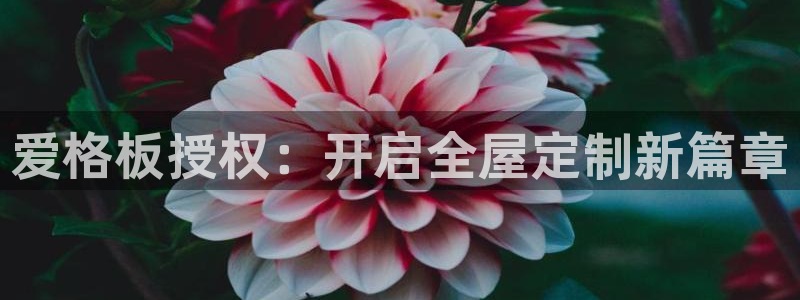 bb电子哪个平台好用一点