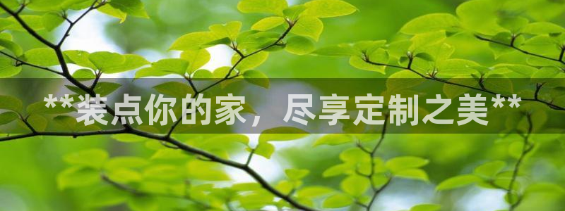 bb电子哪个平台好些