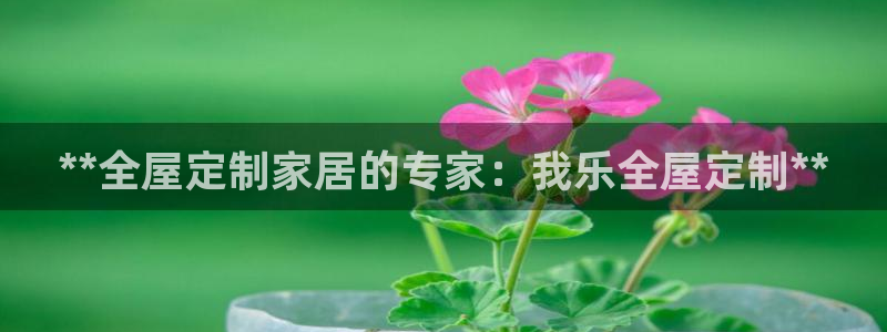 bb电子掉彩金