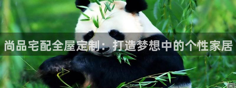 bb电子超级奖池彩金多少钱