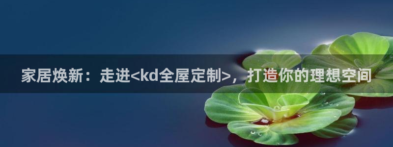 bb电子哪个平台好用一点