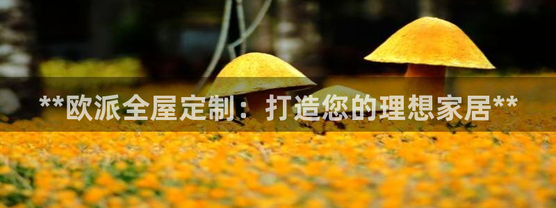 bb电子哪个平台好一点