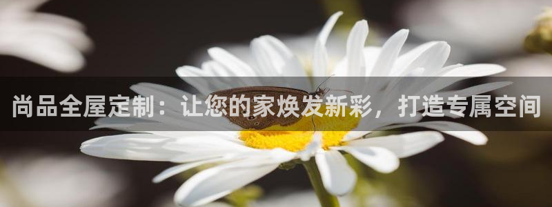 bb电子哪个平台好些