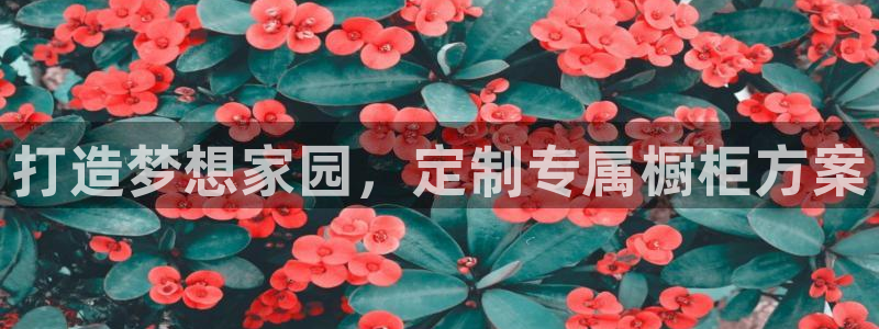 bb电子掉彩金