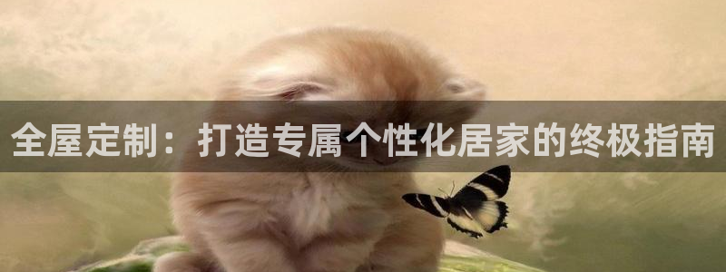 bb电子哪个平台好用一点