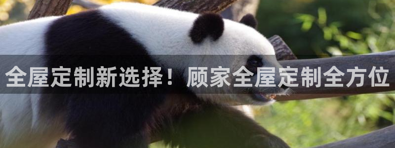 bb电子哪个游戏好赢钱啊