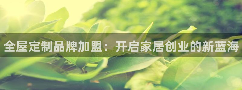 BB电子锁怎么接电