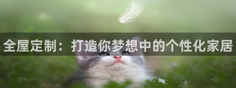 BB电子锁怎么接电