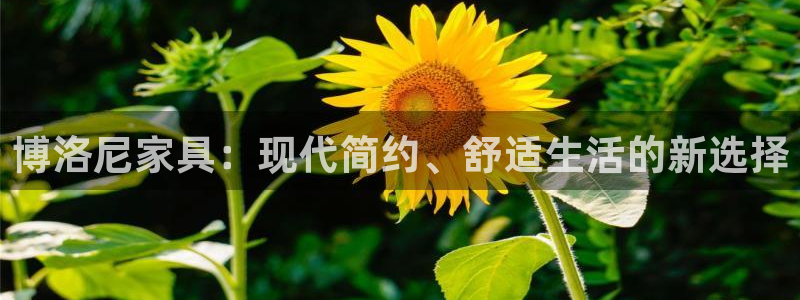 网上bb电子为什么那么假的