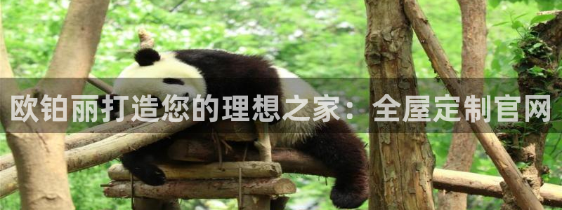 BB电子锁怎么接电