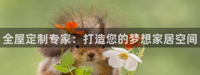 bb电子哪个平台好点