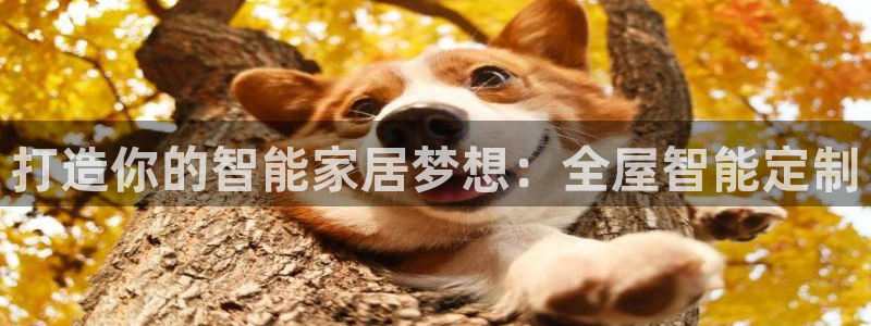 bb电子官网
