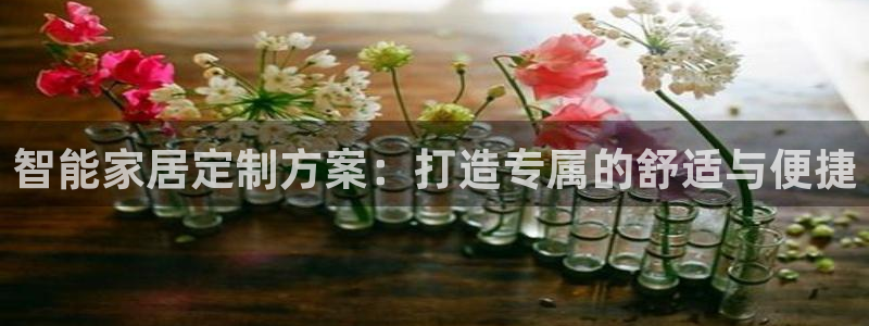 BB电子锁怎么接电