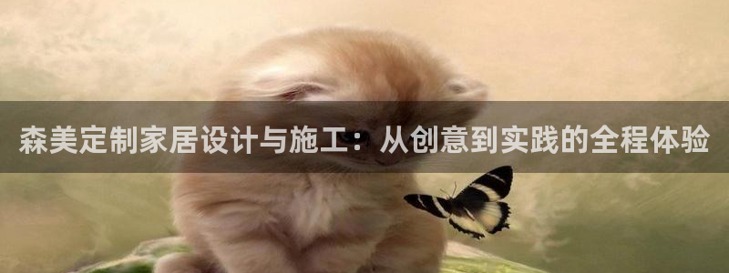 BB电子骗局