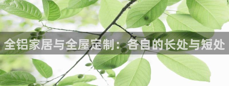 xbb电子游艺