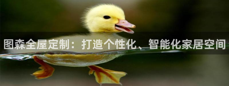 bb电子官网