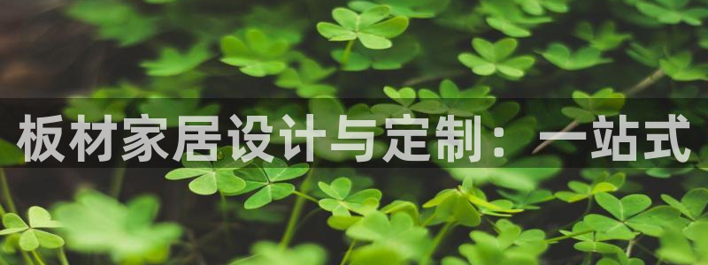 BB电子锁怎么接电