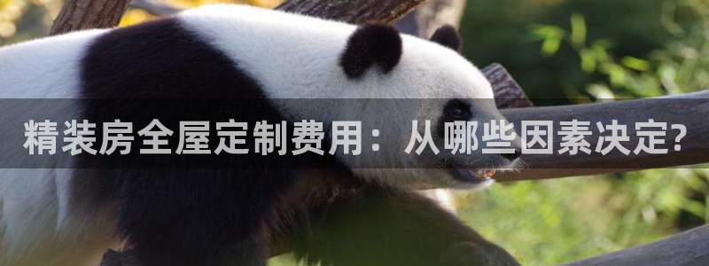Bb电子琴和弦是哪个