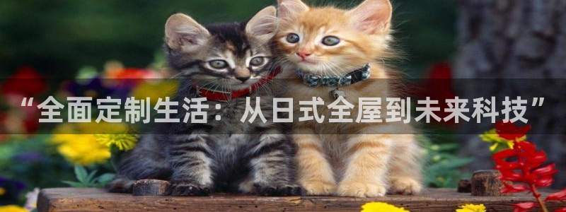 BB电子烟官网