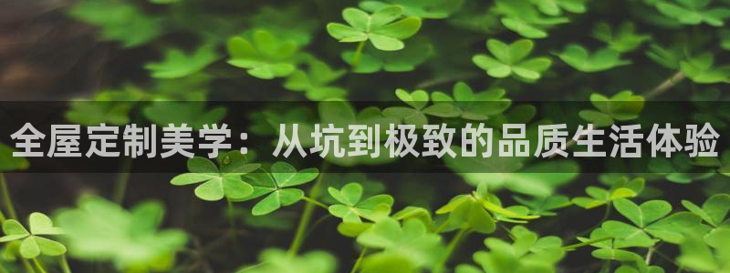 bb电子哪个平台好啊