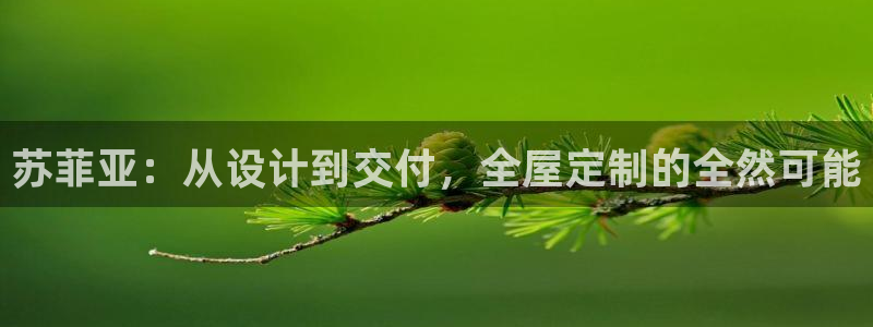 BB电子锁怎么接电