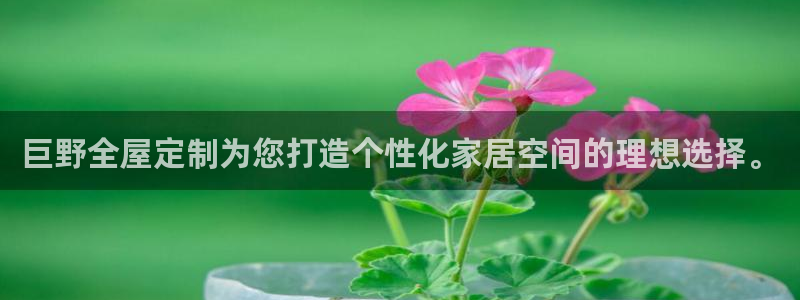 Bb电子琴和弦是哪个