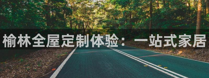 bB电子琴和弦