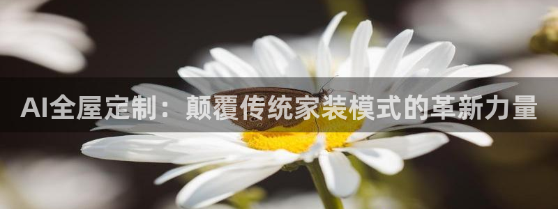 bb电子哪个平台好用一点