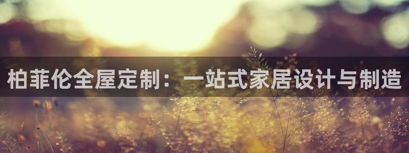 BB电子骗局