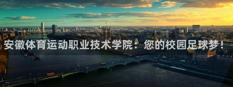熊猫体育app下载安装：安徽体育运动职业技术学院：您的校园足球梦！