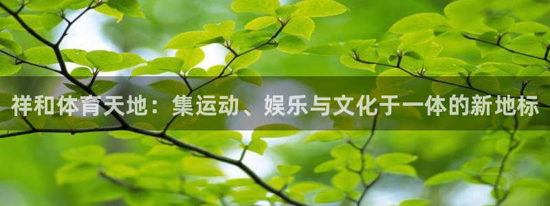 熊猫体育平台官网：祥和体育天地：集运动、娱乐与文化于一体的新地标
