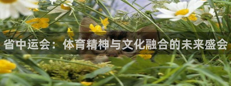 熊猫体育nba：省中运会：体育精神与文化融合的未来盛会