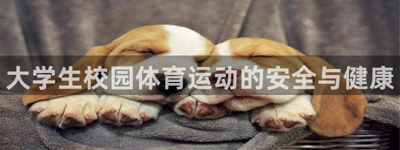 熊猫体育手机版下载：大学生校园体育运动的安全与健康
